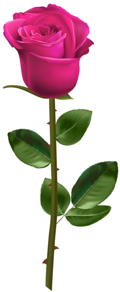 This png image - Pink Rose with Stem Transparent Image, is available for free download