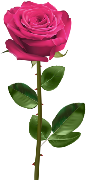 This png image - Pink Rose with Stem Transparent PNG Image, is available for free download