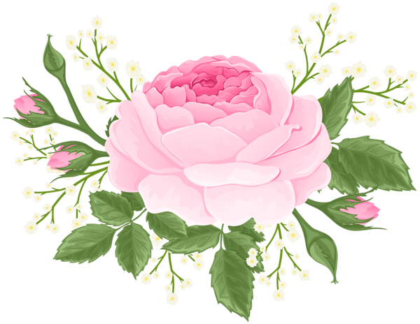 This png image - Pink Rose with White Flowers PNG Clip Art Image, is available for free download