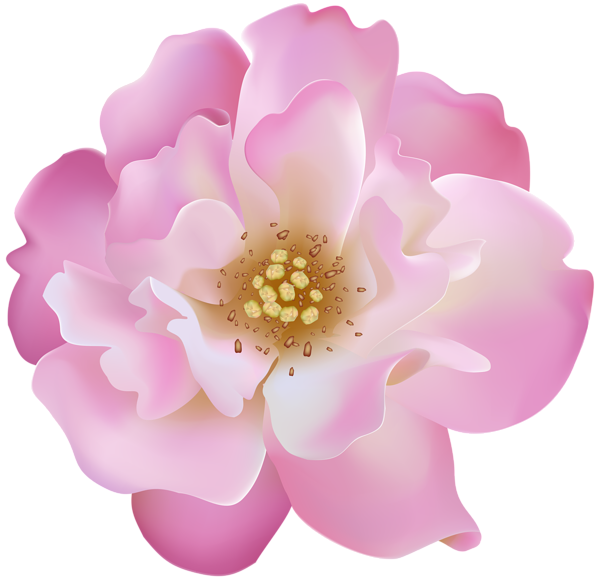 This png image - Pink Rosebush Flower Transparent Clip Art Image, is available for free download