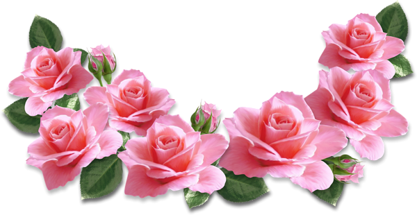 Pink Roses Decoration PNG Clipart Image | Gallery Yopriceville - High ...