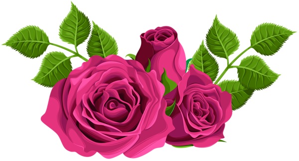 This png image - Pink Roses Decorative PNG Clip Art Image, is available for free download