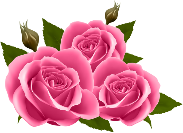 This png image - Pink Roses PNG Clip Art Image, is available for free download