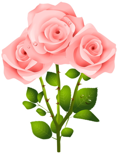 This png image - Pink Roses PNG Transparent Clipart, is available for free download