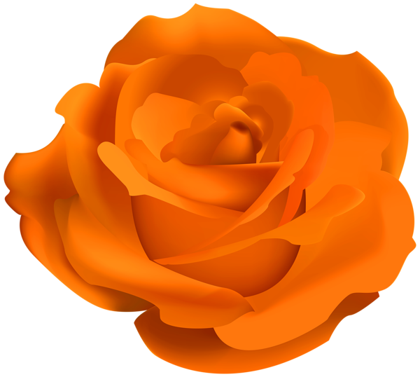 This png image - Pretty Orange Rose PNG Clipart, is available for free download