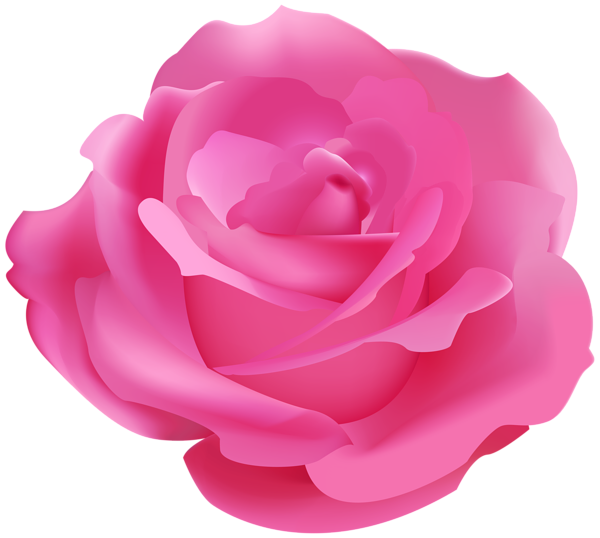 This png image - Pretty Pink Rose PNG Clipart, is available for free download