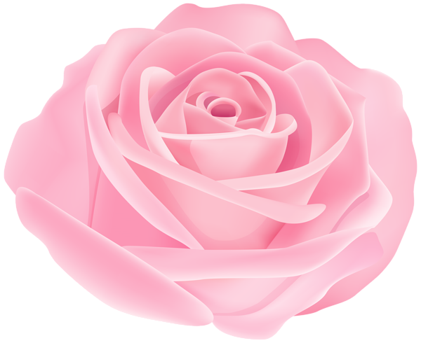 This png image - Pretty Pink Rose PNG Transparent Clipart, is available for free download