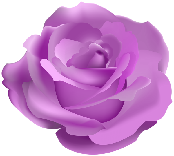 This png image - Pretty Purple Rose PNG Clipart, is available for free download