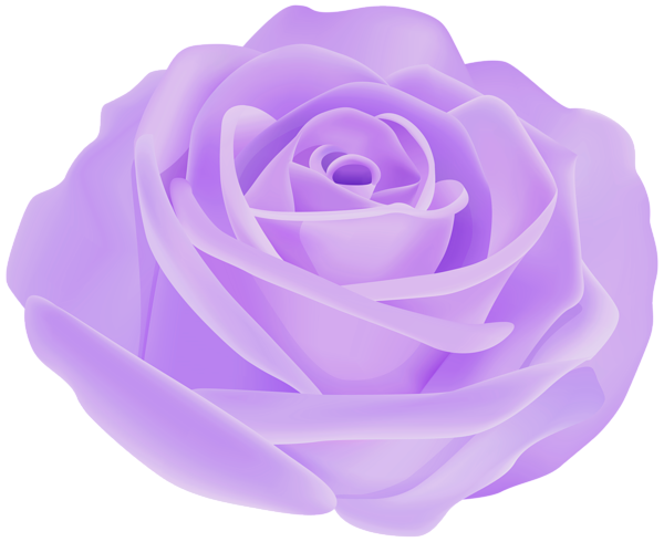 This png image - Pretty Purple Rose PNG Transparent Clipart, is available for free download