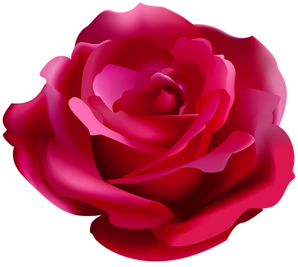 Pretty Red Rose PNG Clipart | Gallery Yopriceville - High-Quality Free ...