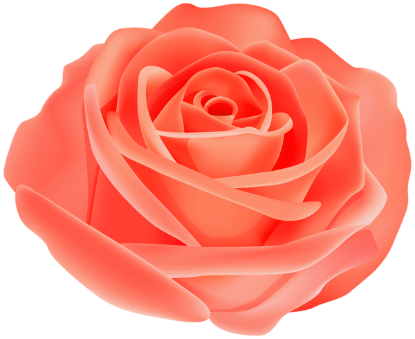 This png image - Pretty Red Rose PNG Transparent Clipart, is available for free download
