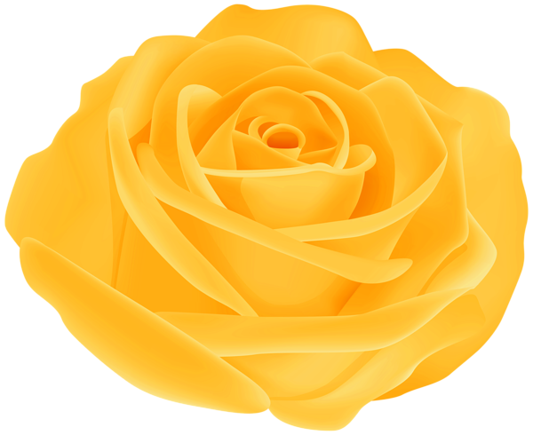 This png image - Pretty Rose Yellow PNG Transparent Clipart, is available for free download