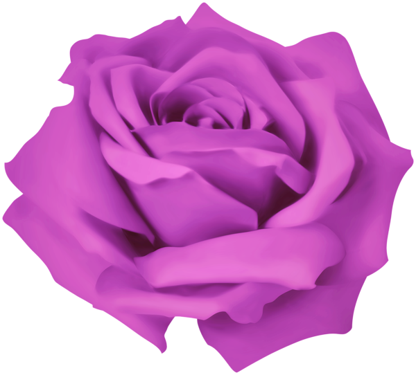 This png image - Purple Dreamy Rose PNG Clipart, is available for free download