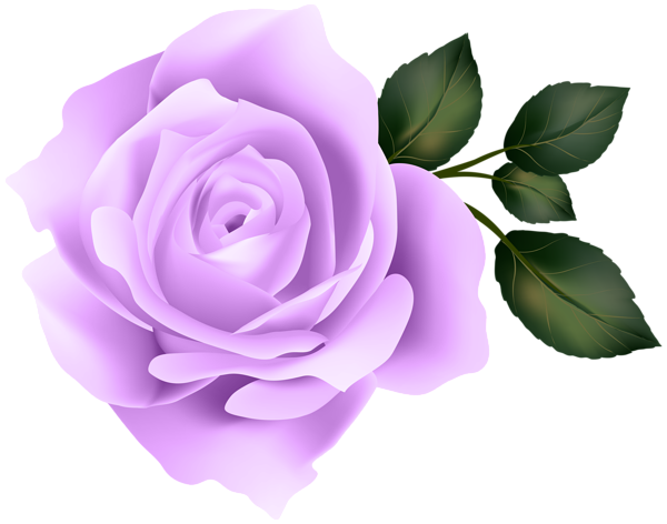 Purple Rose Clip Art Image | Gallery Yopriceville - High-Quality Free ...