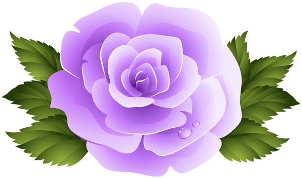 This png image - Purple Rose Clip Art PNG Image, is available for free download