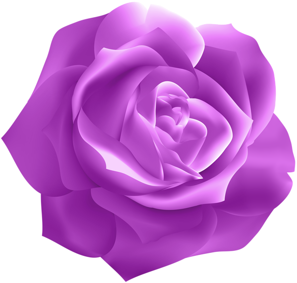This png image - Purple Rose Deco Clip Art, is available for free download