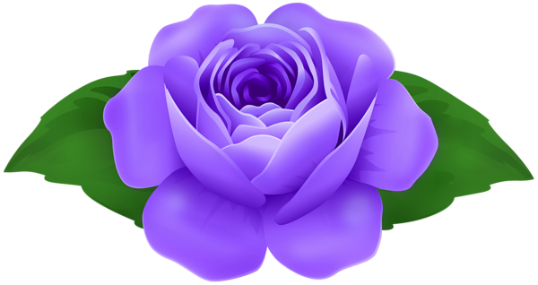 This png image - Purple Rose Decorative Clipart, is available for free download