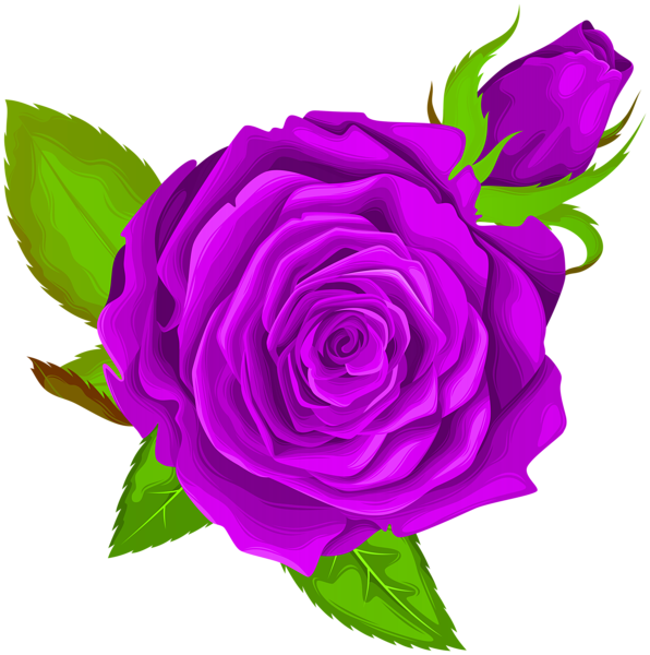Purple Rose Decorative PNG Clip Art Image | Gallery Yopriceville - High ...