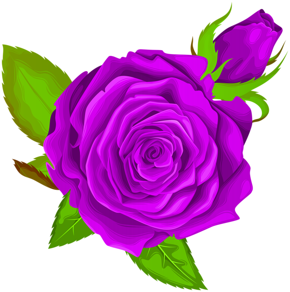 Purple Rose Decorative PNG Clip Art Image | Gallery ...