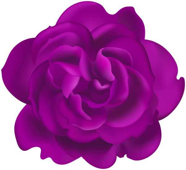 This png image - Purple Rose Flower Clipart, is available for free download