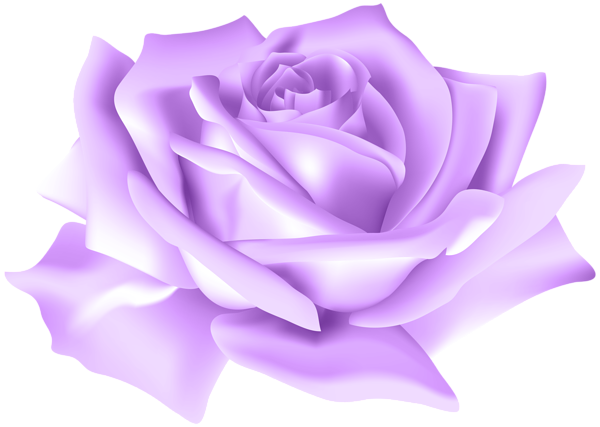 This png image - Purple Rose Flower PNG Clip Art Image, is available for free download
