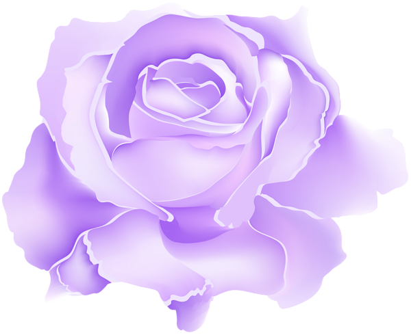 This png image - Purple Rose Flower PNG Clipart, is available for free download