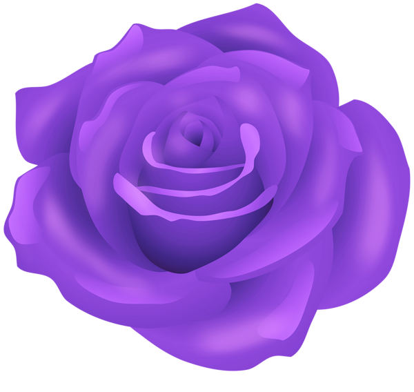 This png image - Purple Rose Flower PNG Transparent Clipart, is available for free download