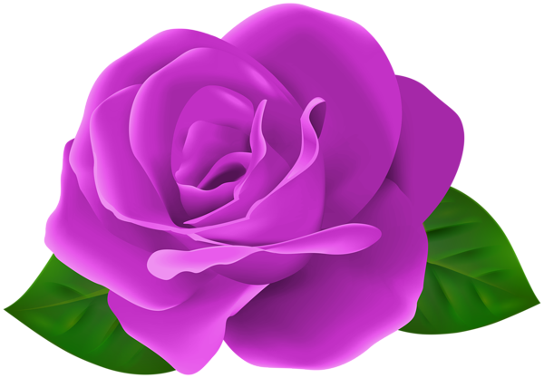 This png image - Purple Rose Flower with Leaves PNG Clipart, is available for free download