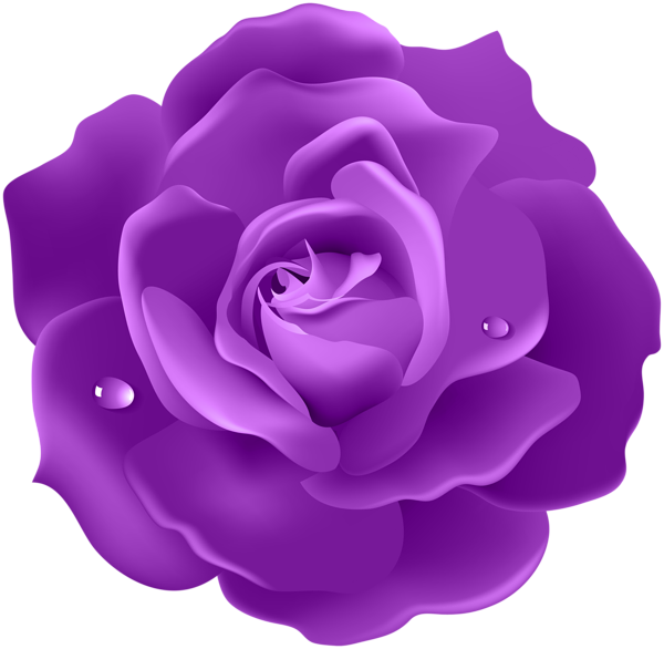 This png image - Purple Rose PNG Image, is available for free download