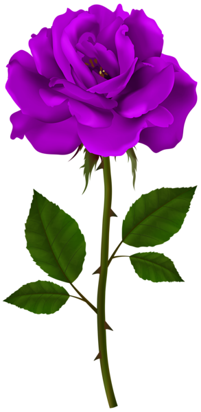 This png image - Purple Rose Stem PNG Transparent Clipart, is available for free download