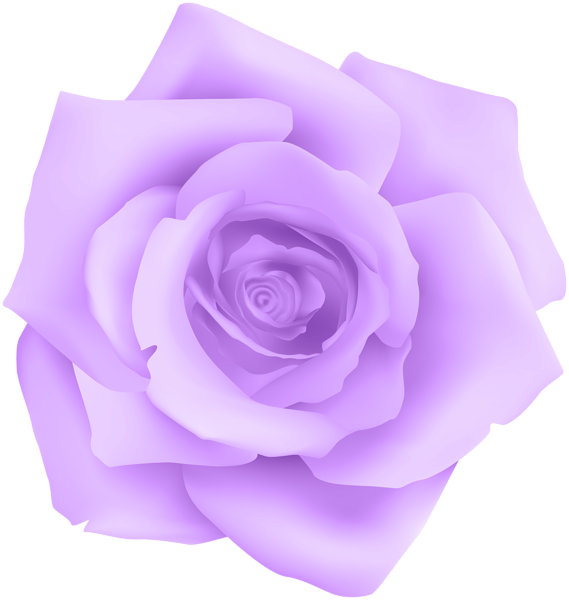 This png image - Purple Rose Transparent Clip Art, is available for free download