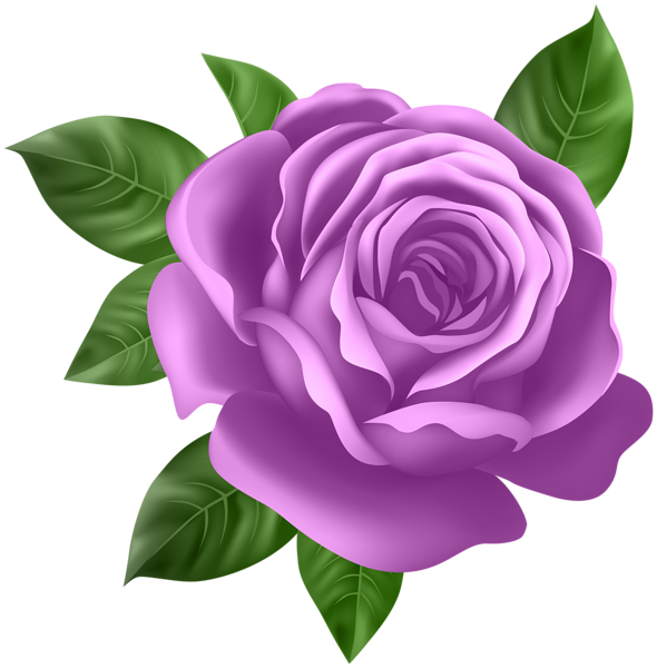 This png image - Purple Rose Transparent PNG Clip Art, is available for free download