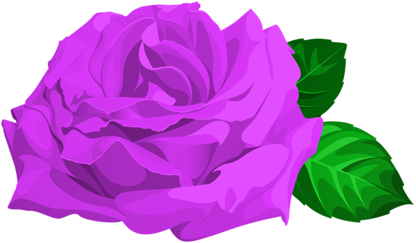 This png image - Purple Rose with Leaves PNG Clipart, is available for free download