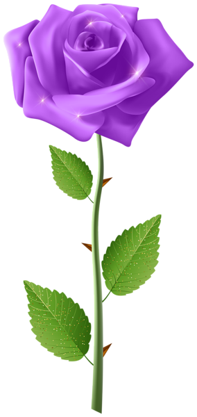This png image - Purple Rose with Steam Transparent Image, is available for free download