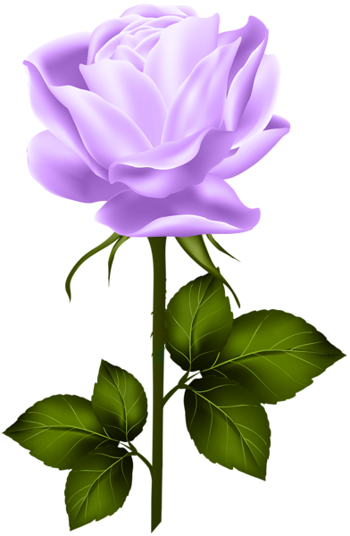 This png image - Purple Rose with Stem PNG Clip Art, is available for free download