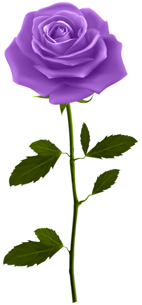 This png image - Purple Rose with Stem PNG Clip Art Image, is available for free download