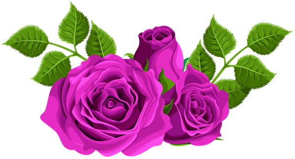 This png image - Purple Roses Decorative PNG Clip Art Image, is available for free download