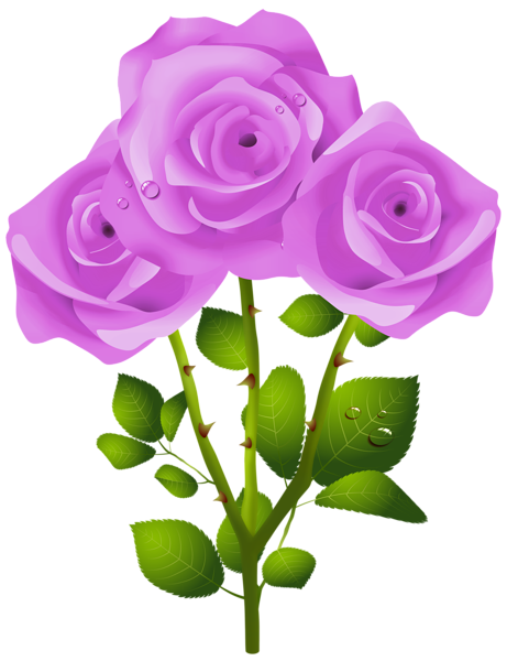 This png image - Purple Roses PNG Transparent Clipart, is available for free download
