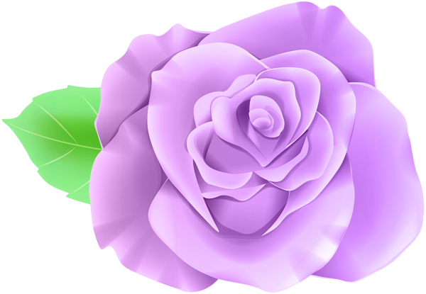 This png image - Purple Single Rose PNG Clip Art Image, is available for free download