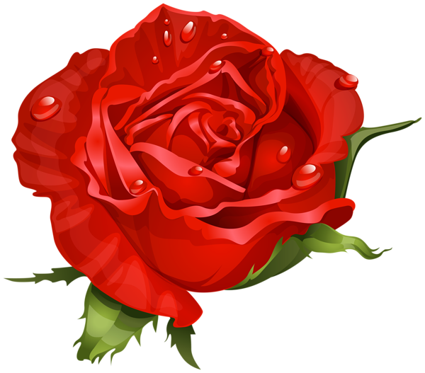 This png image - Red Beautiful Rose Transparent Image, is available for free download