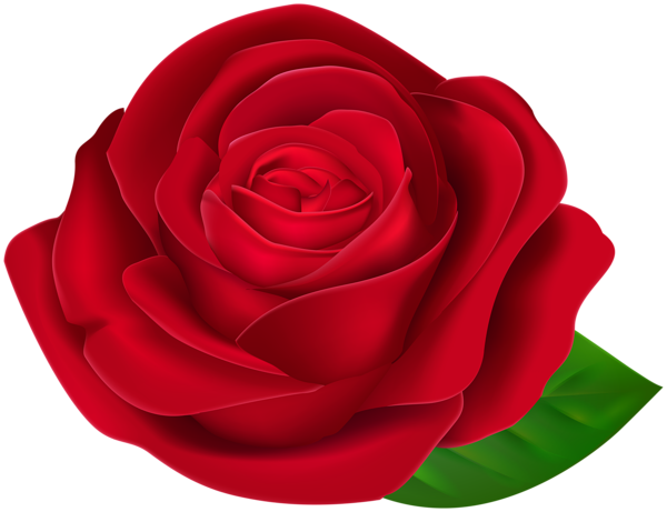 This png image - Red Beautiful Rose with Leaf PNG Clipart, is available for free download