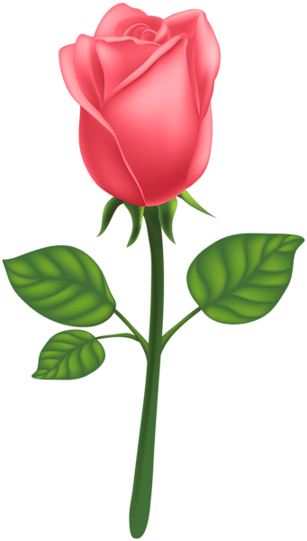 This png image - Red Deco Rose PNG Clip Art Image, is available for free download