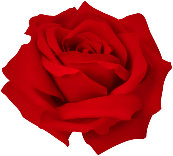 This png image - Red Dreamy Rose PNG Clipart, is available for free download