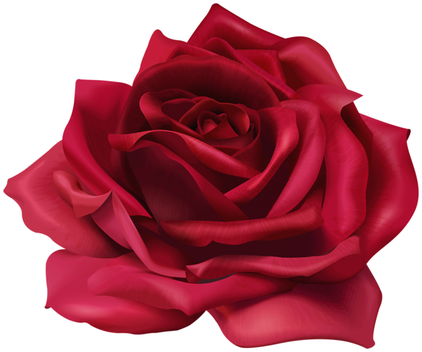 Red Flower Rose Transparent Image | Gallery Yopriceville - High-Quality