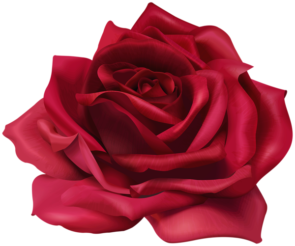 This png image - Red Flower Rose Transparent Image, is available for free download