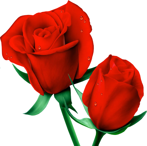 This png image - Red Large Painted Roses PNG Clipart, is available for free download