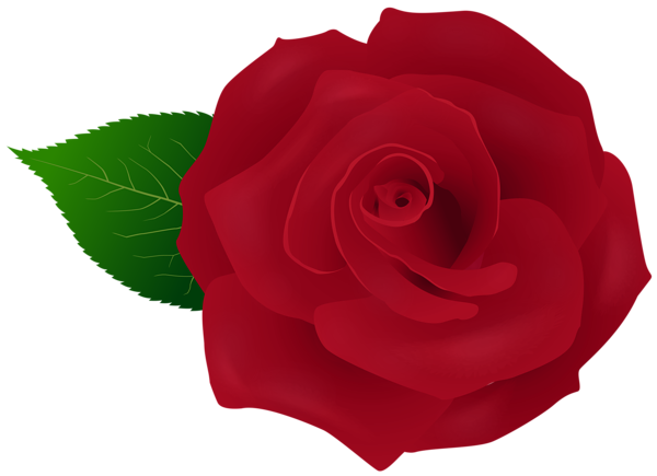 This png image - Red Rose Artistic PNG Transparent Clipart, is available for free download