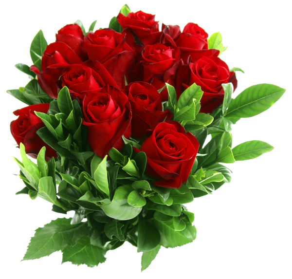 This png image - Red Rose Bouquet PNG Picture, is available for free download