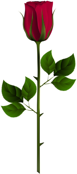 This png image - Red Rose Bud PNG Clip Art Image, is available for free download