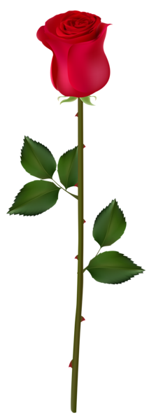 This png image - Red Rose Bud PNG Image, is available for free download